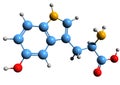 3D image of 5-Hydroxytryptophan skeletal formula