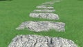 3d image of the landscape design of the home territory. Landscaping of the territory.