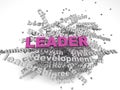 3d image Leader concept word cloud background Royalty Free Stock Photo