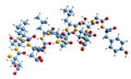 3D image of Leptin skeletal formula