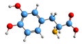 3D image of levodopa skeletal formula