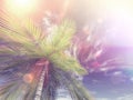 3D image of looking up a palm tree towards the sky Royalty Free Stock Photo