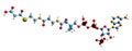 3D image of Malonyl-CoA skeletal formula