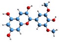 3D image of Malvidin skeletal formula