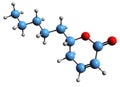 3D image of Massoia lactone skeletal formula