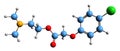 3D image of Meclofenoxate skeletal formula