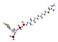 3D image of 2-Methylbutyryl-CoA skeletal formula