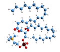 3D image of 1-Oleoyl-2-palmitoyl-phosphatidylcholine skeletal formula Royalty Free Stock Photo