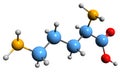 3D image of Ornithine skeletal formula