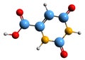 3D image of Orotic acid skeletal formula