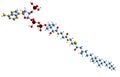 3D image of Phytanoyl-CoA skeletal formula