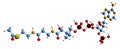 3D image of Propionyl-CoA skeletal formula