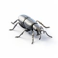 Metal Beetle 3d Model - Tenebrous Style - Stock Photo Royalty Free Stock Photo