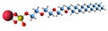 3D image of Sodium laureth sulfate skeletal formula