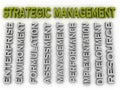 3d image Strategic management issues concept word cloud background