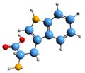 3D image of Tryptophan skeletal formula