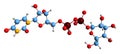3D image of Uridine diphosphate galactose skeletal formula Royalty Free Stock Photo