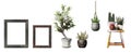 3d images of various types of plants in plant pots as a set.