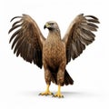 3d Indian Spotted Eagle With Naturalistic Pose And Uhd Image Royalty Free Stock Photo