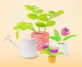 3d Indoor Gardening Big Sale Concept Background Cartoon Style. Vector