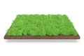 3D Isolated Natural Grass Background