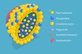 3D Isometric Flat Vector Conceptual Illustration of Chylomicron Structure