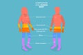 3D Isometric Flat Vector Conceptual Illustration of Composition Of The Human Body