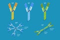 3D Isometric Flat Vector Conceptual Illustration of Different Types Of Immunoglobulins Royalty Free Stock Photo