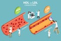 3D Isometric Flat Vector Conceptual Illustration of HDL Vs. LDL Cholesterol