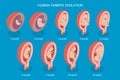 3D Isometric Flat Vector Conceptual Illustration of Human Embryo Evolution