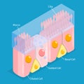 3D Isometric Flat Vector Conceptual Illustration of Nasal Mucosa Cells