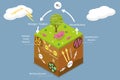 3D Isometric Flat Vector Conceptual Illustration of Nitrogen Cycle