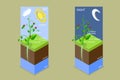 3D Isometric Flat Vector Conceptual Illustration of Photosynthesis