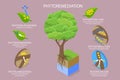 3D Isometric Flat Vector Conceptual Illustration of Phytoremediation