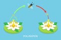 3D Isometric Flat Vector Conceptual Illustration of Pollination Process Diagram