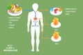 3D Isometric Flat Vector Conceptual Illustration of Role Of ATP In Metabolism