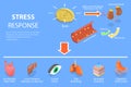 3D Isometric Flat Vector Conceptual Illustration of Stress Response Process Royalty Free Stock Photo