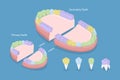3D Isometric Flat Vector Conceptual Illustration of Types Of Teeth Royalty Free Stock Photo