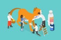 3D Isometric Flat Vector Illustration of Cat Grooming