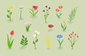 3D Isometric Flat Vector Illustration of Flowers Collection Royalty Free Stock Photo