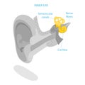 3D Isometric Flat Vector Illustration of Human Ear Anatomy. Item 1 Royalty Free Stock Photo