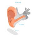 3D Isometric Flat Vector Illustration of Human Ear Anatomy. Item 3 Royalty Free Stock Photo