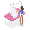 3D Isometric Flat Vector Illustration of Pet Grooming. Item 1