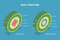 3D Isometric Flat Vector Illustration of Root Structure Royalty Free Stock Photo