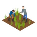 3D Isometric Flat Vector Illustration of Sustainable Farming. Item 2
