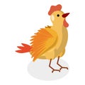 3D Isometric Flat Vector Set of Chickens. Item 6