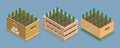 3D Isometric Flat Vector Set of Crates with Beer Bottles