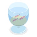 3D Isometric Flat Vector Set of Home Aquariums. Item 3