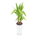 3D Isometric Flat Vector Set of Houseplants. Item 2 Royalty Free Stock Photo