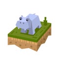 3D isometric hippo